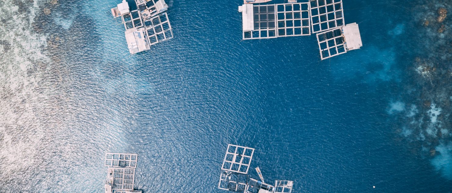 MAR 2030 - DESENVOLVIMENTO SUSTENTÁVEL DA AQUICULTURA